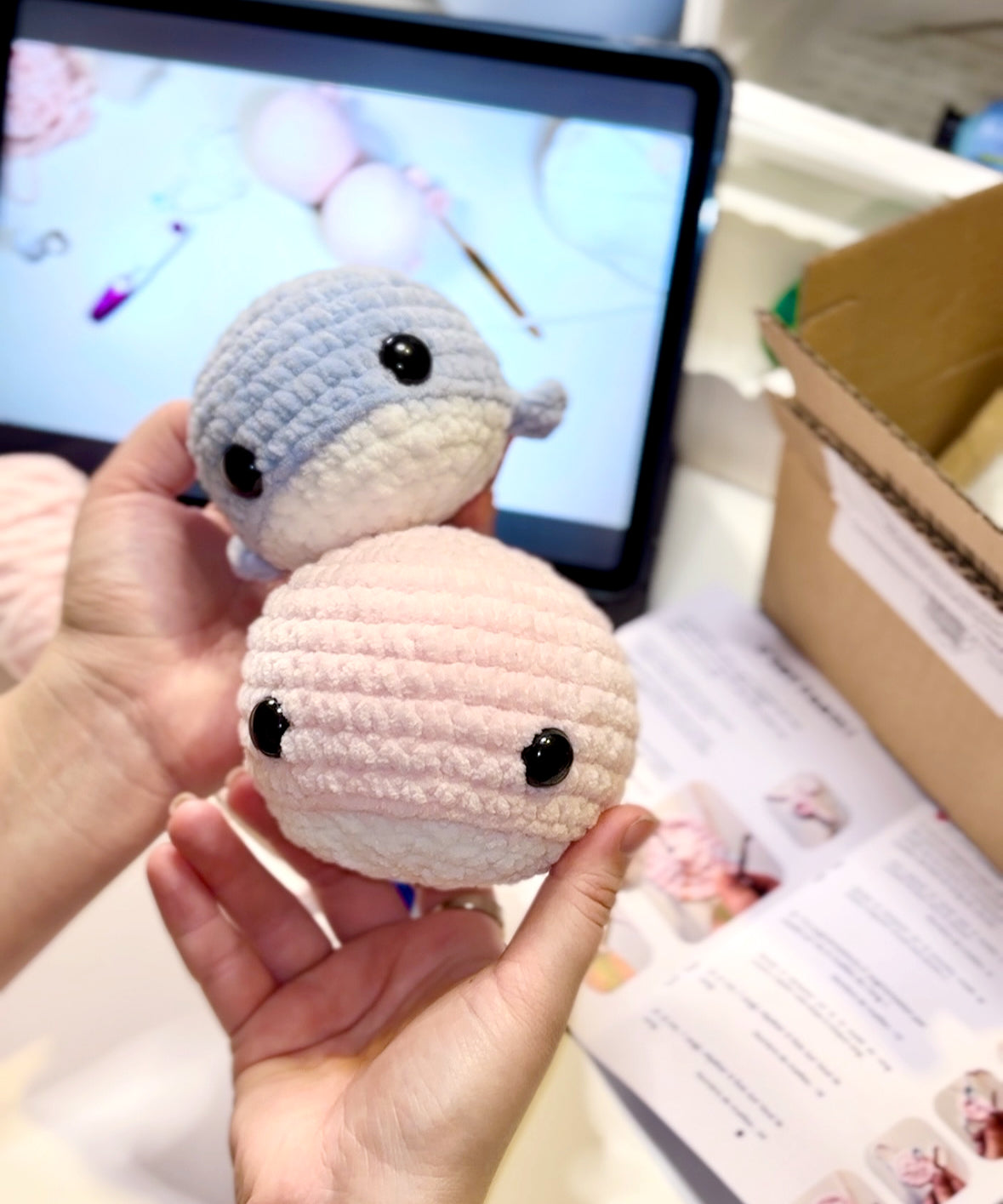 Premier Kit de Crochet / Spécial Débutants !