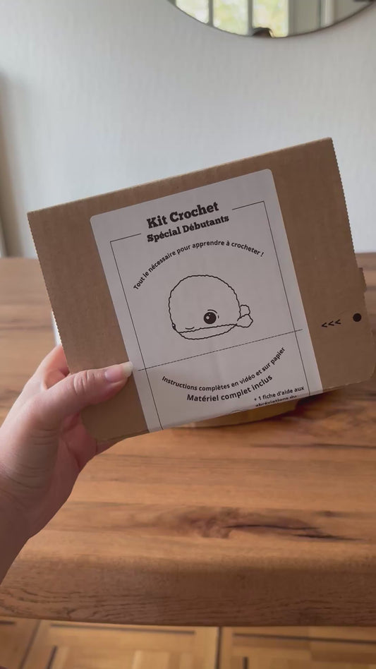 Premier Kit de Crochet / Spécial Débutants !